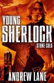 Young Sherlock Holmes 7: Stone Cold (eBook, ePUB)