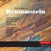 Brummstein (ungekürzt) (MP3-Download)