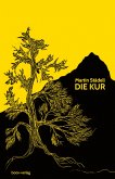 Die Kur (eBook, ePUB)