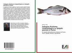 Indagine Anatomo-istopatologica su Spigole pescate in fiume - Verin, Ranieri