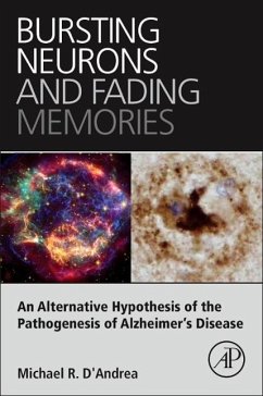 Bursting Neurons and Fading Memories - D'Andrea, Michael R.