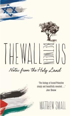 The Wall Between Us: Notes from the Holy Land - Small, Matthew