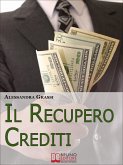 Il Recupero Crediti. Strategie per la Gestione Efficace dei Crediti non Performing. (Ebook Italiano - Anteprima Gratis) (eBook, ePUB)