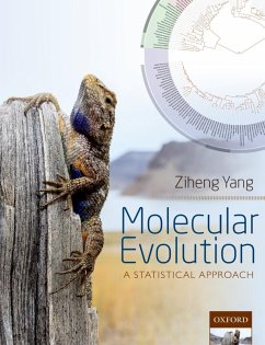 Cover Molecular Evolution (eBook, ePUB)