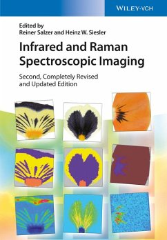 Cover Infrared and Raman Spectroscopic Imaging (eBook, ePUB)