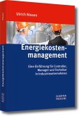 Energiekostenmanagement (eBook, PDF)