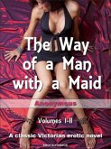 The Way of a Man with a Maid (eBook, ePUB)