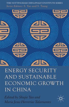 Energy Security and Sustainable Economic Growth in China (eBook, PDF)