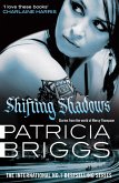 Shifting Shadows (eBook, ePUB)