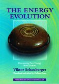 The Energy Evolution – Harnessing Free Energy from Nature (eBook, ePUB)