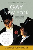 Gay New York (eBook, ePUB)