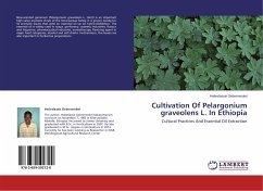 Cultivation Of Pelargonium graveolens L. In Ethiopia