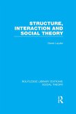 Structure, Interaction and Social Theory (RLE Social Theory) (eBook, ePUB)