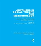 Advances in Social Theory and Methodology (eBook, PDF)