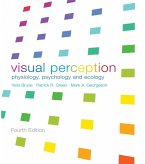 Visual Perception (eBook, ePUB)