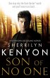 Son of No One (eBook, ePUB) - Bild 1