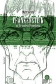Frankenstein or the modern Prometheus (eBook, PDF)