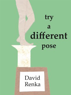 Try A Different Pose (eBook, ePUB) - M. Renka, David