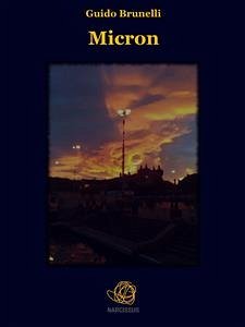 Micron (eBook, ePUB) - Brunelli, Guido