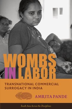 Cover Wombs in Labor (eBook, ePUB)