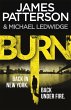 Burn (eBook, ePUB) - Bild 1