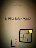 Il pellegrinaggio (eBook, ePUB)