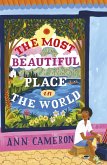 The Most Beautiful Place in the World (eBook, ePUB)