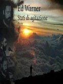 Stati di agitazione (eBook, ePUB)