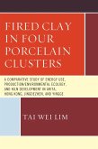 Fired Clay in Four Porcelain Clusters (eBook, ePUB)