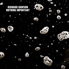 Nothing Important (Lp+Mp3) - Dawson,Richard