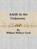 Adrift in the Unknown (eBook, ePUB)