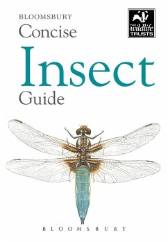 Concise Insect Guide (eBook, PDF) - Bloomsbury
