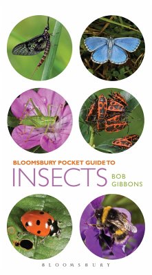 Pocket Guide to Insects (eBook, PDF) - Gibbons, Bob