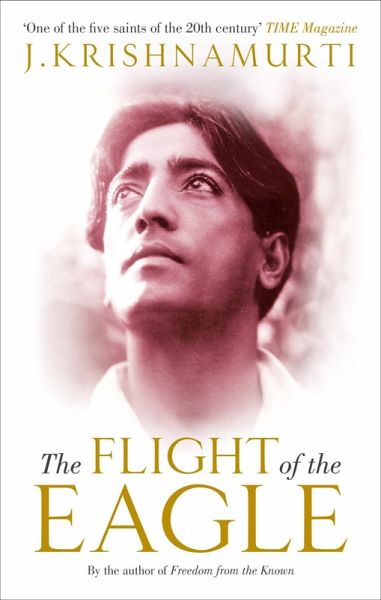 The Flight of the Eagle (eBook, ePUB)