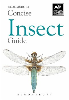 Concise Insect Guide (eBook, ePUB) - Bloomsbury