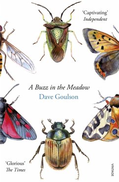 A Buzz in the Meadow (eBook, ePUB) - Goulson, Dave