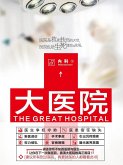 Large hospital (eBook, ePUB)