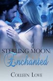Enchanted (eBook, ePUB) Enchanted (eBook, ePUB)