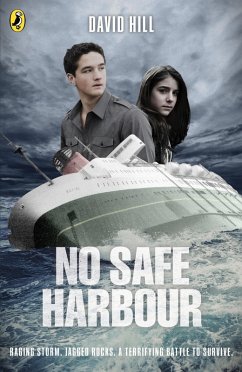 No Safe Harbour (eBook, ePUB) - Hill, David