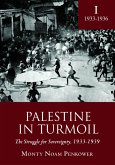 Palestine in Turmoil (eBook, PDF)
