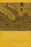 Normative Patterns and Legal Developments in the Social Dimension of the EU (eBook, ePUB)