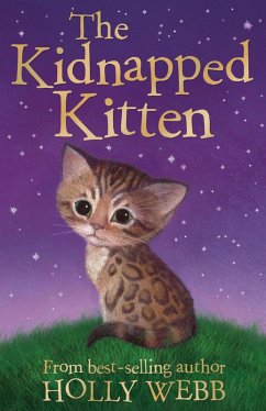 The Kidnapped Kitten (eBook, ePUB) - Webb, Holly