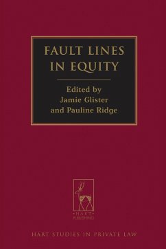 Cover Fault Lines in Equity (eBook, ePUB)