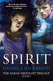Spirit (eBook, ePUB)