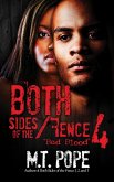 Both Sides of the Fence 4 (eBook, ePUB)