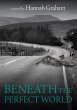 Beneath the Perfect World (eBook, ePUB) - Bild 1