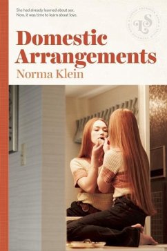 Domestic Arrangements (eBook, ePUB) - Klein, Norma