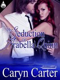 Seduction of Arabella Quinn (eBook, ePUB)