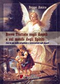 Breve Trattato sugli Angeli e sul mondo degli Spiriti (eBook, ePUB)