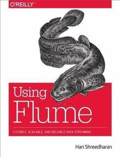Cover Using Flume (eBook, PDF)